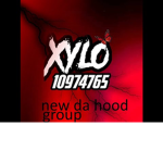 Xylo Group!