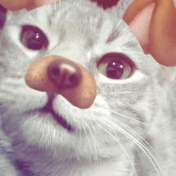 ˃ᗜ˂