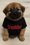 CrashOut 要