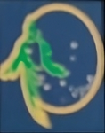 Zenkai Karate