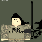 UNSC//Air Force//