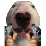 HI EPIC