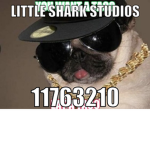 little shark studios