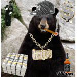bear......GANG