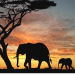 nature beautiful