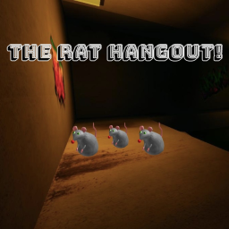 Rat hangout