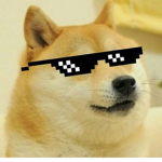 Legendary Doges