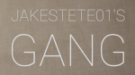 J4K3ST3T301's gang