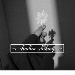 ~• Shadow Destiny •~