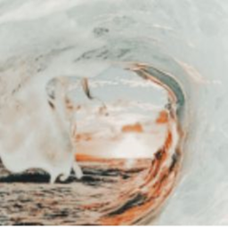 🌊