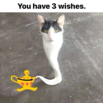 Nruoto