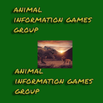 Animal Informational Games Group