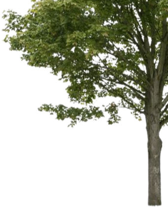 Square Two-Sided Decal