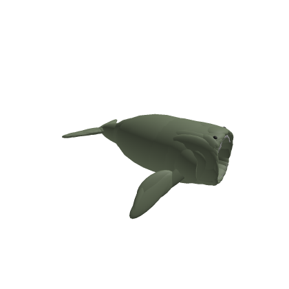 The Bloop