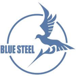 Blue Steel Battalion