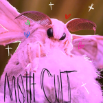 The Order of the Ancestor Moth