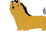 Doge's Come Back!