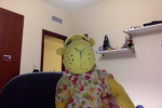 Camel Development