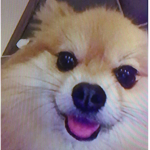 roxisntcool