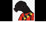 BL_Tortuga's official group
