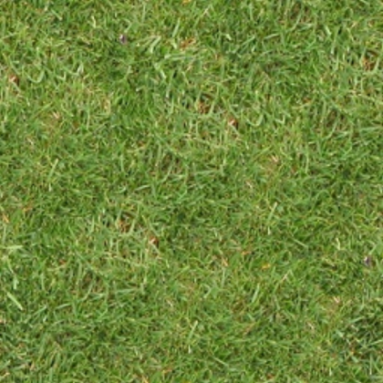 Grass texture Roblox decal
