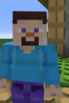 A Guy Named Steve