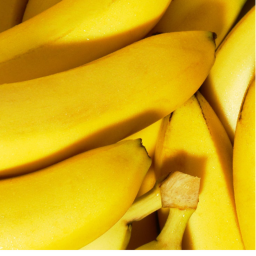 BANANA SIMULATOR [NEW ICON!]