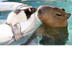 Capybara and Biggiecheese pack