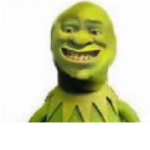 HELP ME OH GOD NO