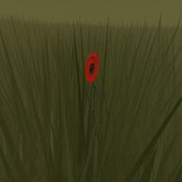 The Last Post
