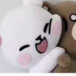 TEDDY$BE$R