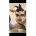 Regalo ropa uwu