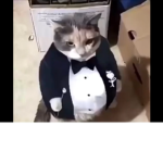 migos man