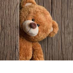The Teddy Army! :)