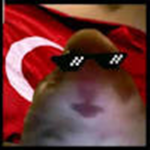 hamsterÇETESİ