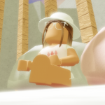 _bvba