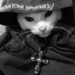 The-Soviet-Cats-Army