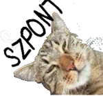 SZPONT