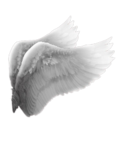 Jahs Community