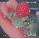 FROGS ARE BERY POG
