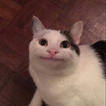 EpicGuy's Cat Gang