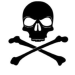 Skull {Korea}