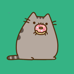 cuttie cat group