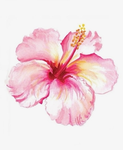 ~| Pink Bouquet |~