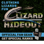 Lizard hideout