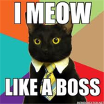I Meow Like A Boss!
