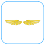 [KSA] Crown Air Force of Saint Athena
