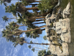 Externul