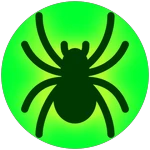 Pre-Order Spiderling