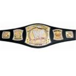 WWE  Champions